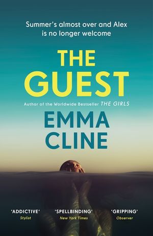 The Guest: 'Take it to the beach and savour every page' Observer image number 0