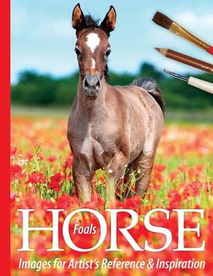 Foals: Horse Images for Artist's Reference and Inspiration image number 0