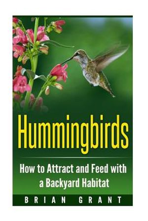 Hummingbirds: How to Attract and Feed with a Backyard Habitat image number 0