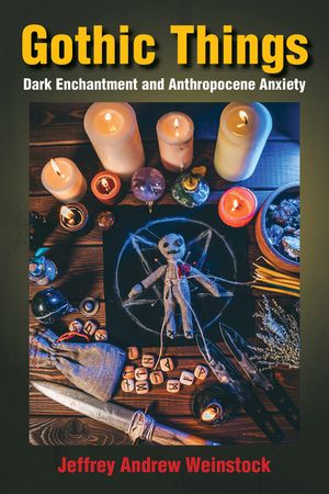Gothic Things: Dark Enchantment and Anthropocene Anxiety image number 0