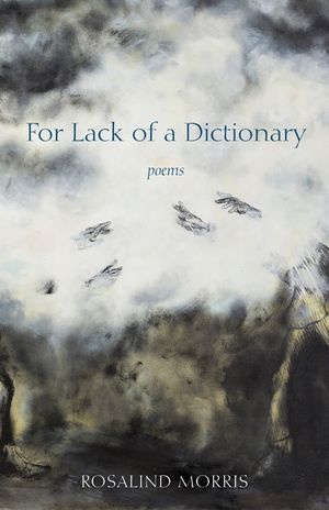 For Lack of a Dictionary image number 0