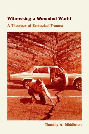 Witnessing a Wounded World: A Theology of Ecological Trauma image number 0