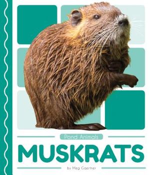 Muskrats image number 0