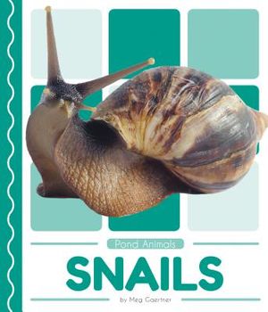 Snails image number 0