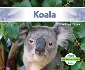 Koala image number 0