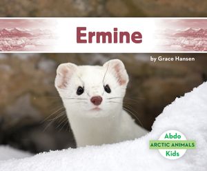 Ermine image number 0