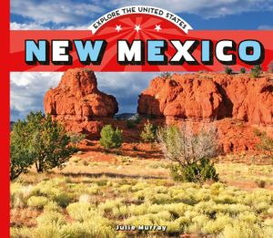 New Mexico image number 0