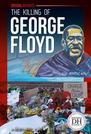The Killing of George Floyd image number 0