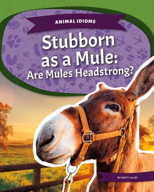 Stubborn as a Mule: Are Mules Headstrong?: Are Mules Headstrong? image number 0
