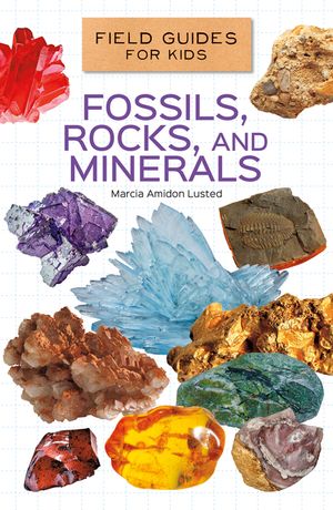 Fossils, Rocks, and Minerals image number 0