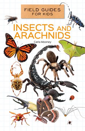 Insects and Arachnids image number 0