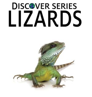 Lizards image number 0