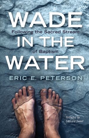 Wade in the Water image number 0