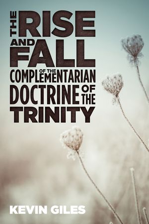 The Rise and Fall of the Complementarian Doctrine of the Trinity image number 0