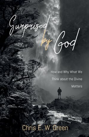 Surprised by God image number 0