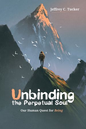 Unbinding the Perpetual Soul image number 0