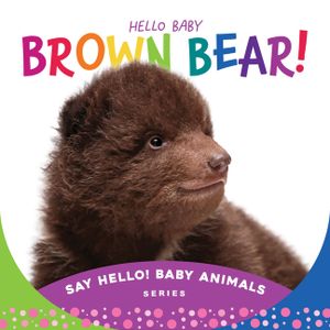 Hello Baby Brown Bear! image number 0