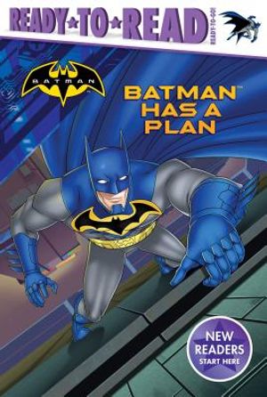 Batman Has a Plan image number 0