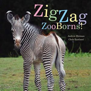 Zigzag Zooborns!: Zoo Baby Colors and Patterns image number 0