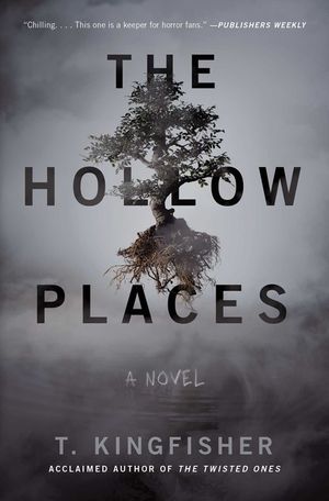 The Hollow Places image number 0