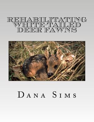 Rehabilitating White-Tailed Deer Fawns image number 0