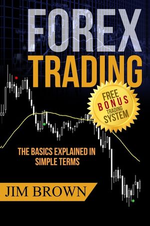Forex Trading: The Basics Explained in Simple Terms image number 0