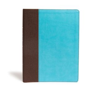 CSB Life Essentials Study Bible, Brown/Sky Leathertouch, Indexed image number 0