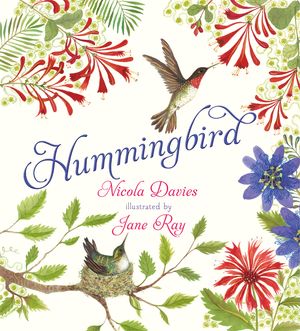 Hummingbird image number 0