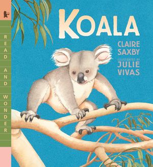 Koala image number 0
