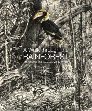 A Walk Through the Rain Forest image number 0