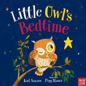 Little Owl's Bedtime image number 0