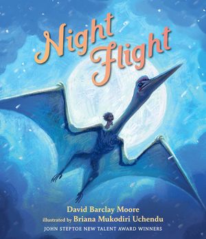 Night Flight image number 0