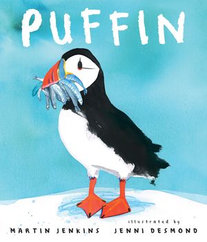 Puffin image number 0