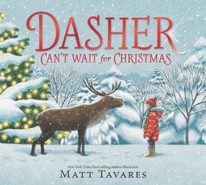 Dasher Can't Wait for Christmas image number 0