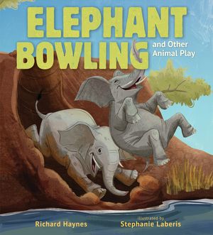 Elephant Bowling and Other Animal Play image number 0