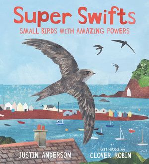 Super Swifts: Small Birds with Amazing Powers image number 0