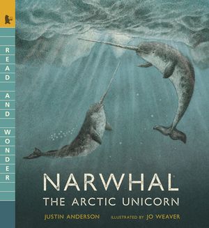 Narwhal: The Arctic Unicorn image number 0