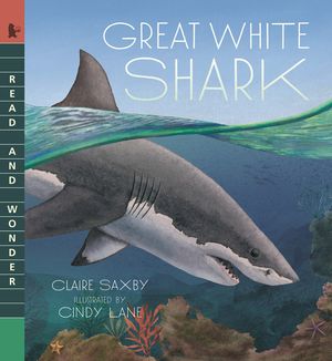 Great White Shark image number 0