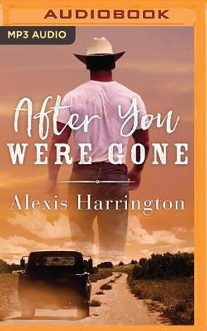 After You Were Gone image number 0