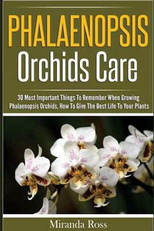 Phalaenopsis Orchids Care: 30 Most Important Things To Remember When Growing Phalaenopsis Orchids image number 0