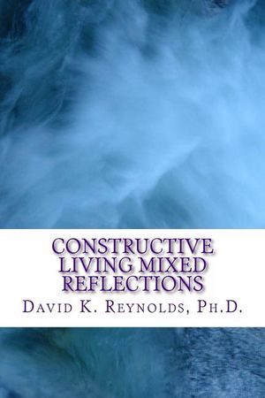 Constructive Living Mixed Reflections image number 0