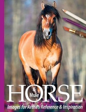 Horse and Mule Images for Artist's Reference and Inspiration image number 0