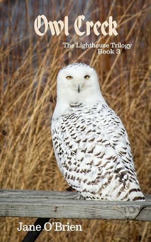 Owl Creek image number 0