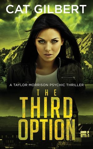 The Third Option: Taylor Morrison Series - Book 2 image number 0