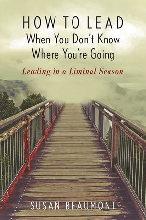 How to Lead When You Don't Know Where You're Going: Leading in a Liminal Season image number 0