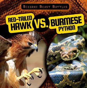 Red-Tailed Hawk vs. Burmese Python image number 0