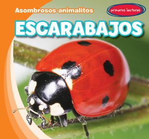 Escarabajos (Beetles) image number 0