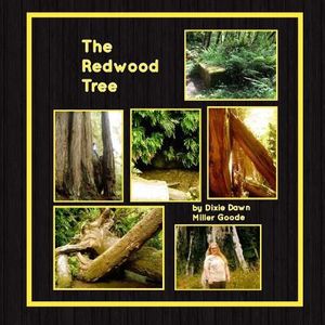 The Redwood Tree image number 0