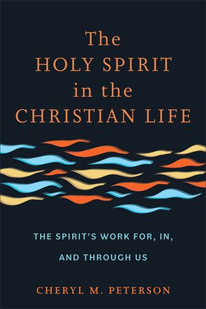 The Holy Spirit in the Christian Life: The Spirit's Work For, In, and Through Us image number 0