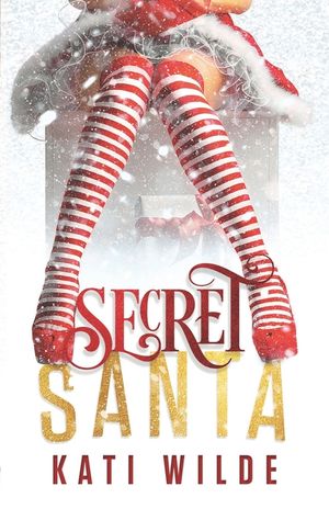 Secret Santa image number 0